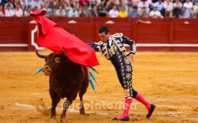1M6A1501